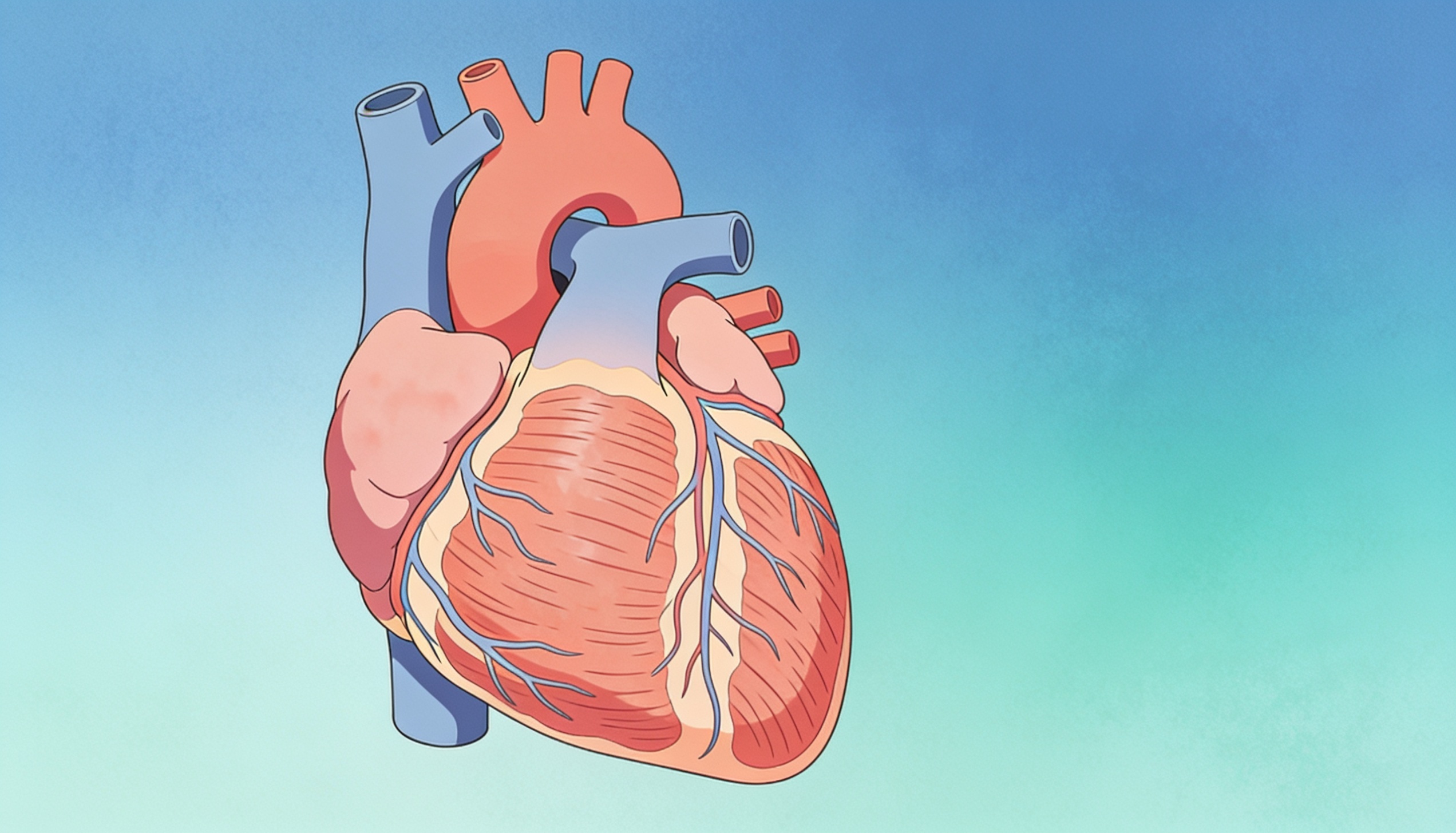Cardiomiopatia hipertrófica: o que todo médico deve saber (Diretriz SBC, 2024)