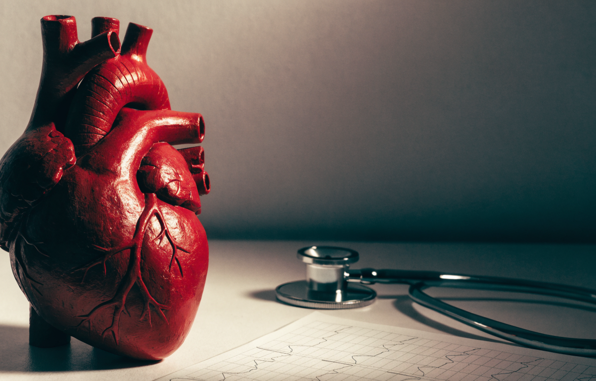 Cardiologia no TECM: o que mais cai e como a banca cobra